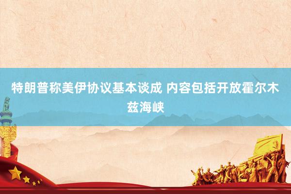 特朗普称美伊协议基本谈成 内容包括开放霍尔木兹海峡