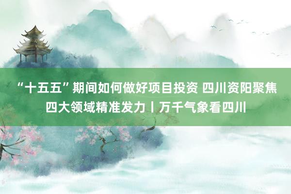 “十五五”期间如何做好项目投资 四川资阳聚焦四大领域精准发力丨万千气象看四川