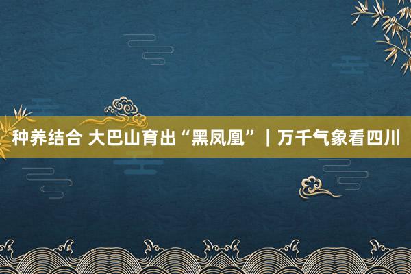 种养结合 大巴山育出“黑凤凰”｜万千气象看四川