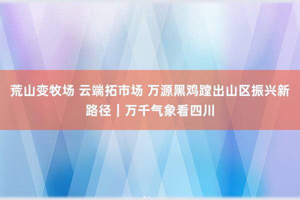 荒山变牧场 云端拓市场 万源黑鸡蹚出山区振兴新路径｜万千气象看四川