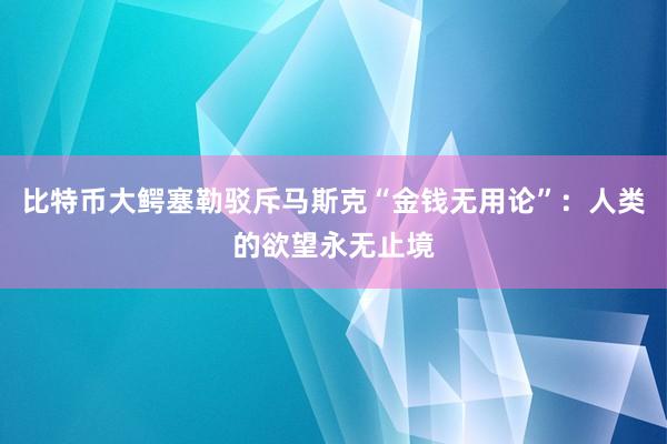 比特币大鳄塞勒驳斥马斯克“金钱无用论”：人类的欲望永无止境