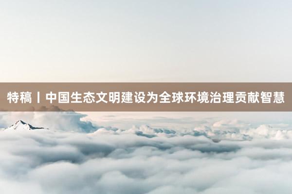 特稿丨中国生态文明建设为全球环境治理贡献智慧