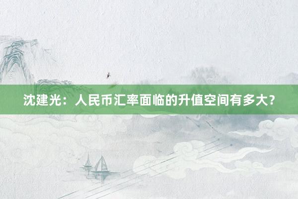 沈建光：人民币汇率面临的升值空间有多大？
