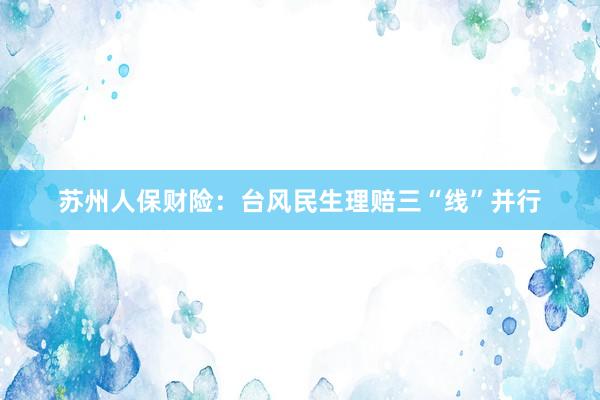 苏州人保财险：台风民生理赔三“线”并行