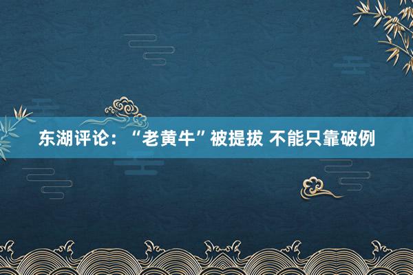 东湖评论：“老黄牛”被提拔 不能只靠破例