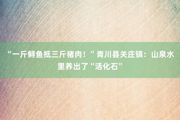 “一斤鲟鱼抵三斤猪肉！”青川县关庄镇：山泉水里养出了“活化石”