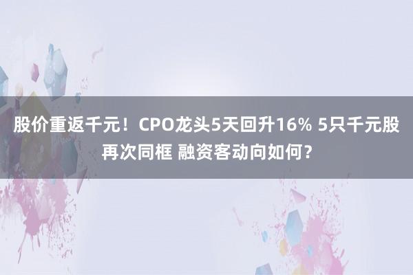 股价重返千元！CPO龙头5天回升16% 5只千元股再次同框 融资客动向如何？