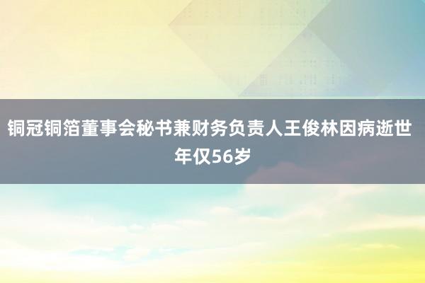 铜冠铜箔董事会秘书兼财务负责人王俊林因病逝世 年仅56岁