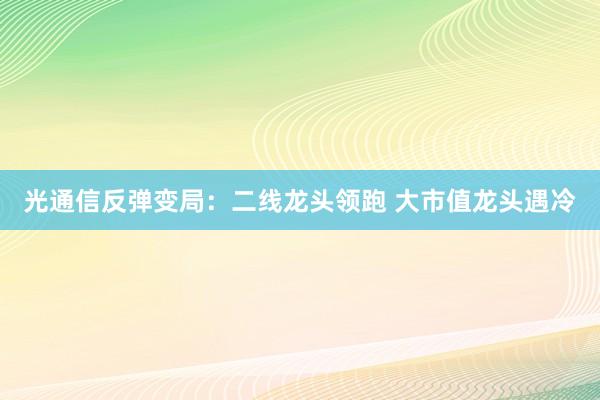 光通信反弹变局：二线龙头领跑 大市值龙头遇冷