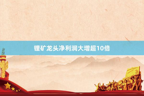 锂矿龙头净利润大增超10倍