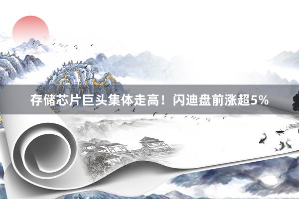 存储芯片巨头集体走高！闪迪盘前涨超5%