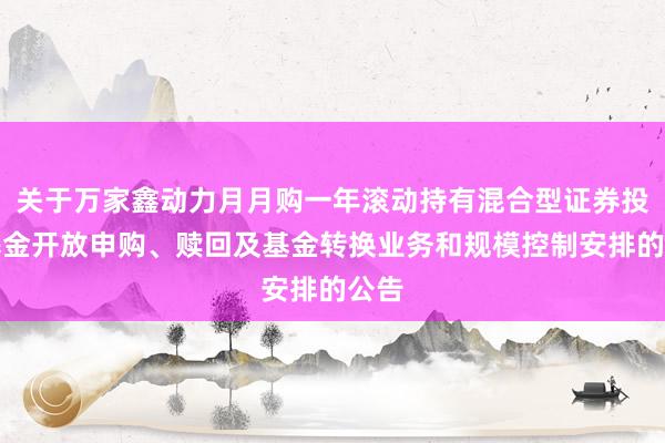 关于万家鑫动力月月购一年滚动持有混合型证券投资基金开放申购、赎回及基金转换业务和规模控制安排的公告