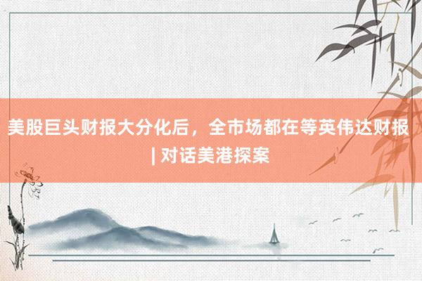 美股巨头财报大分化后，全市场都在等英伟达财报 | 对话美港探案