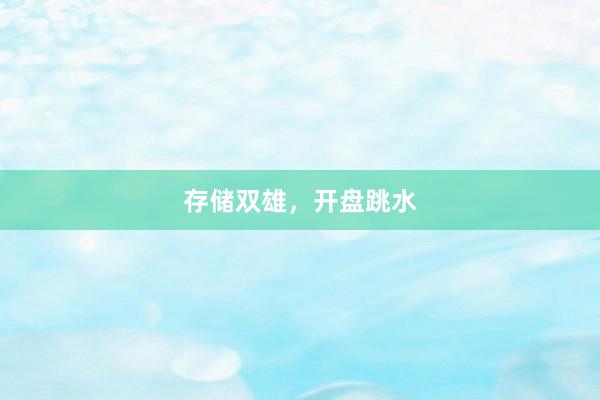 存储双雄,开盘跳水