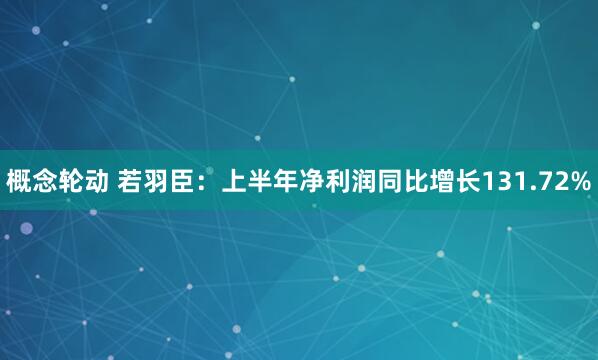 概念轮动 若羽臣：上半年净利润同比增长131.72%