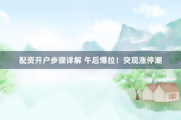 配资开户步骤详解 午后爆拉！突现涨停潮