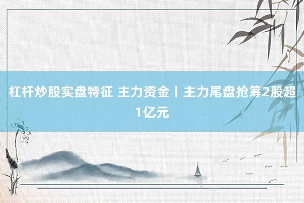 杠杆炒股实盘特征 主力资金丨主力尾盘抢筹2股超1亿元