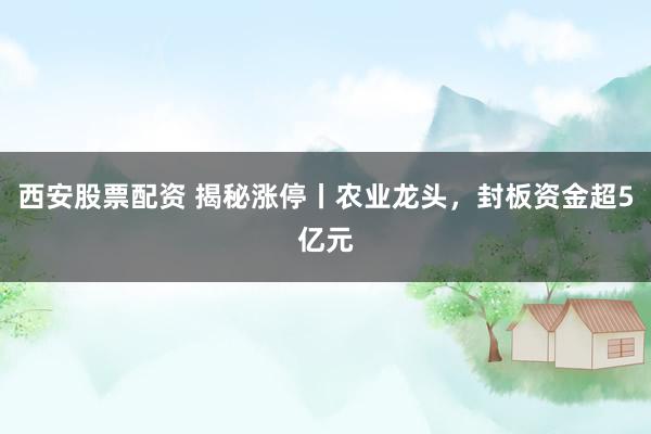 西安股票配资 揭秘涨停丨农业龙头，封板资金超5亿元