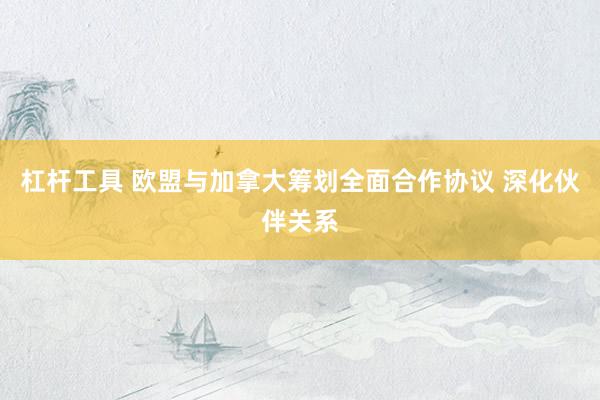 杠杆工具 欧盟与加拿大筹划全面合作协议 深化伙伴关系