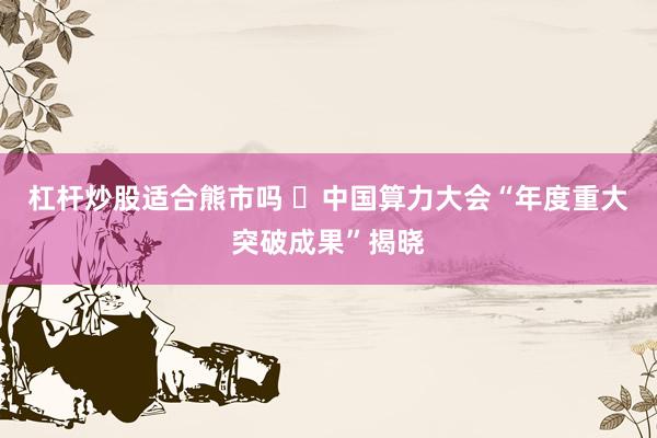 杠杆炒股适合熊市吗 ​中国算力大会“年度重大突破成果”揭晓