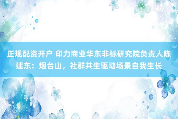 正规配资开户 印力商业华东非标研究院负责人陈建东：烟台山，社群共生驱动场景自我生长